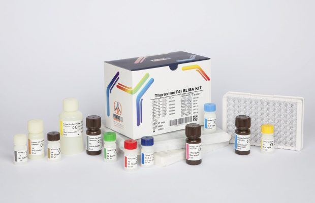 کیت الایزا پیشتاز طب - T4