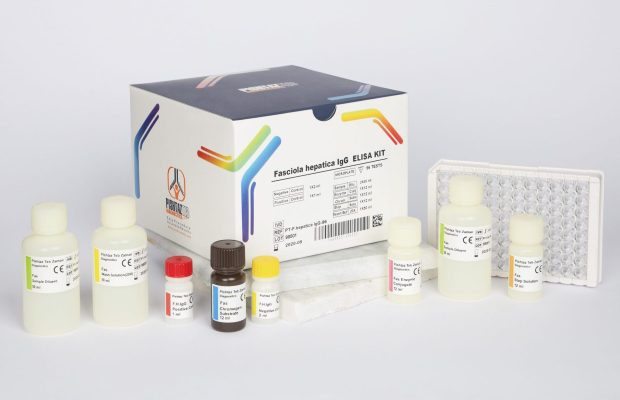 کیت الایزا پیشتاز طب - Fasciola hepatica IgG