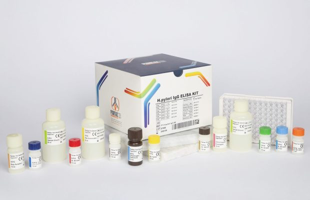 کیت الایزا پیشتاز طب - H.pylori IgG