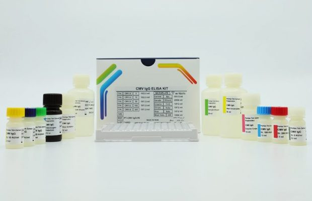 کیت الایزا پیشتاز طب - CMV IgG