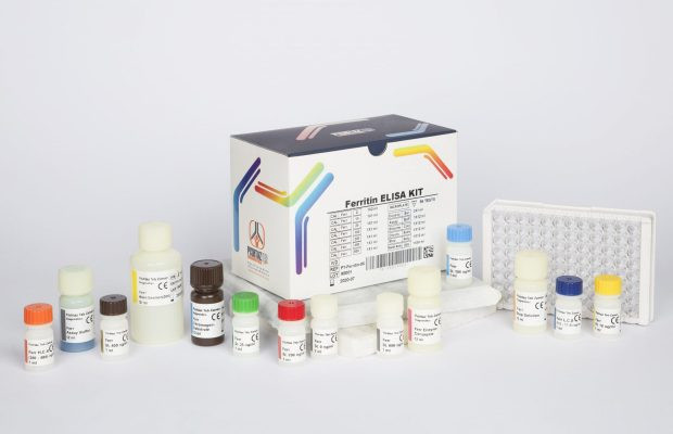 کیت الایزا پیشتاز طب - Ferritin