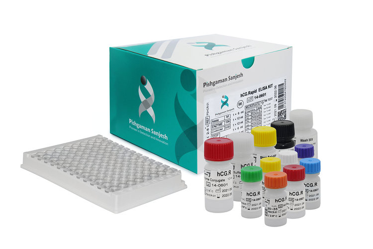 کیت الایزا پیشگامان سنجش - hCG Rapid