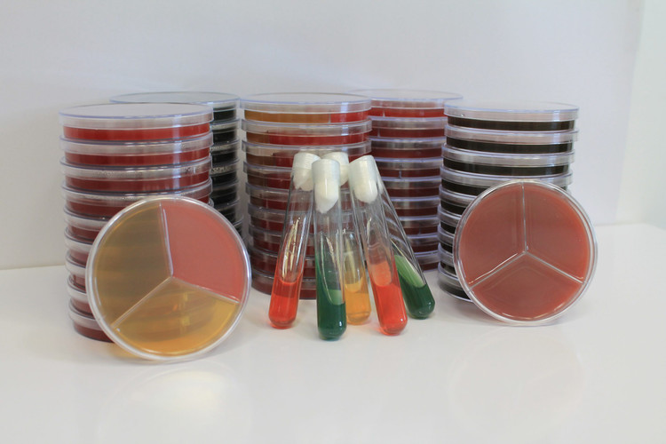 محیط آماده اوره آگار (لوله 100*16) - دارواش