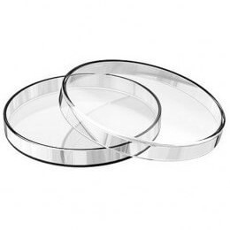 پلیت یکبار مصرف 10 سانت - بایوتست