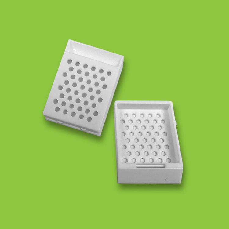 بسکت پاتولوژی (تیشوتک) - برند S.P