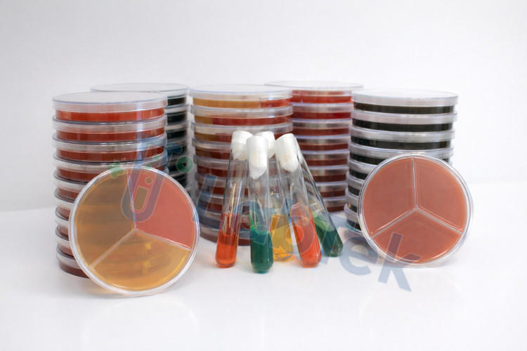 محیط آماده سه قسمتی بلاد/مانیتول/DNase (پلیت 8 سانت) - دارواش