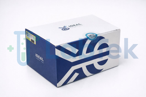 کیت الایزا ایده آل تشخیص - Estradiol (E2)