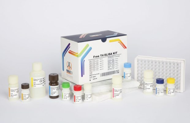 کیت الایزا پیشتاز طب - Free T4