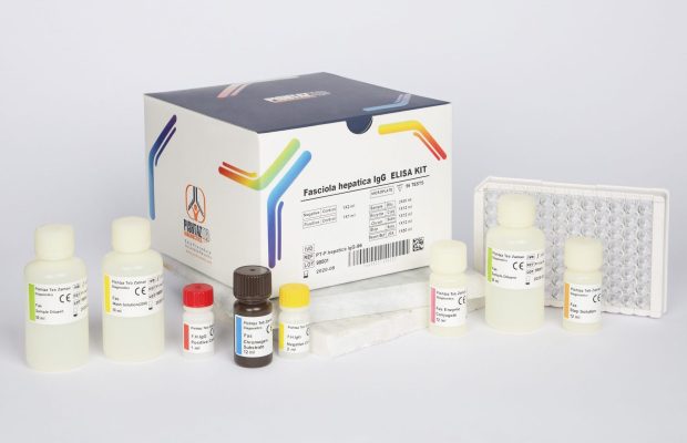 کیت الایزا پیشتاز طب - Fasciola hepatica IgG