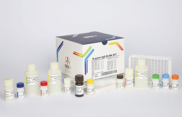 کیت الایزا پیشتاز طب - H.pylori IgG