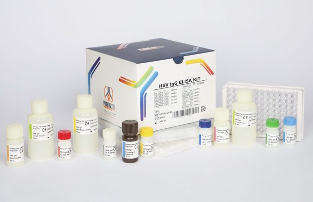 کیت الایزا پیشتاز طب - HSV IgG